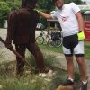 Dads Honor Ride photo