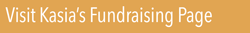 Kasia fundraising button