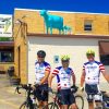 DHR17-Blue-Cows-on-Roof