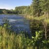 DHR17-creek