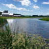 DHR17 - farm by river