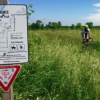DHR17 - horse trail