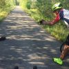 DHR17-turtle-on-road